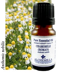 Roman Chamomile Organic Essential Oil