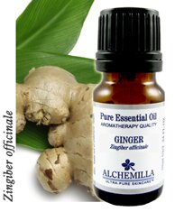 Ginger Organic Essential Oil