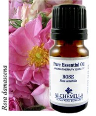 Rose Essential Oil (Absolute, Undiluted)