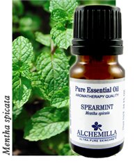 Spearmint Essential Oil (Organic)